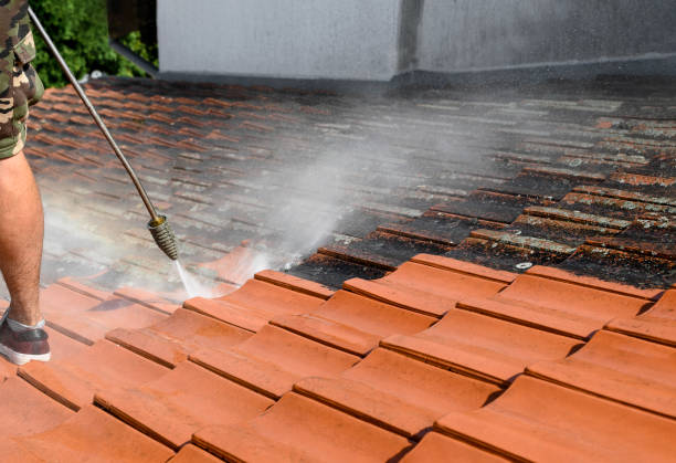Best Pressure Washing Driveway  in Cloverdale, IN