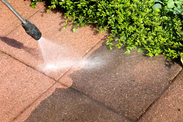 Best Deck Cleaning Services  in Cloverdale, IN