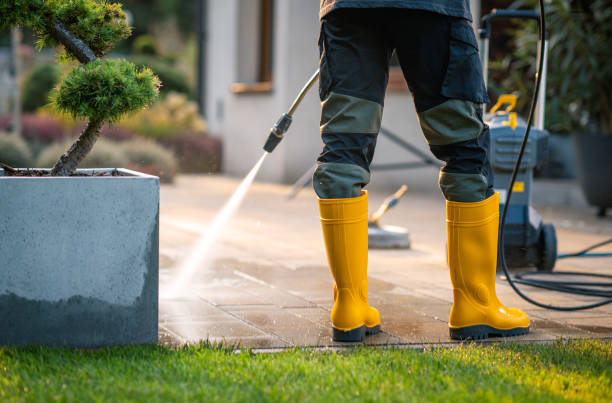 Best Affordable Power Washing  in Cloverdale, IN